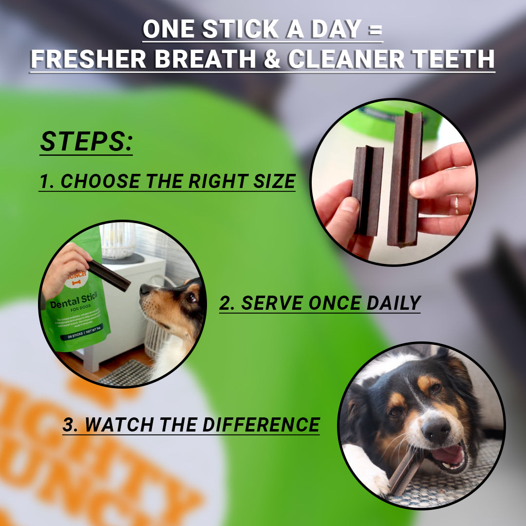 Dental Sticks (US)