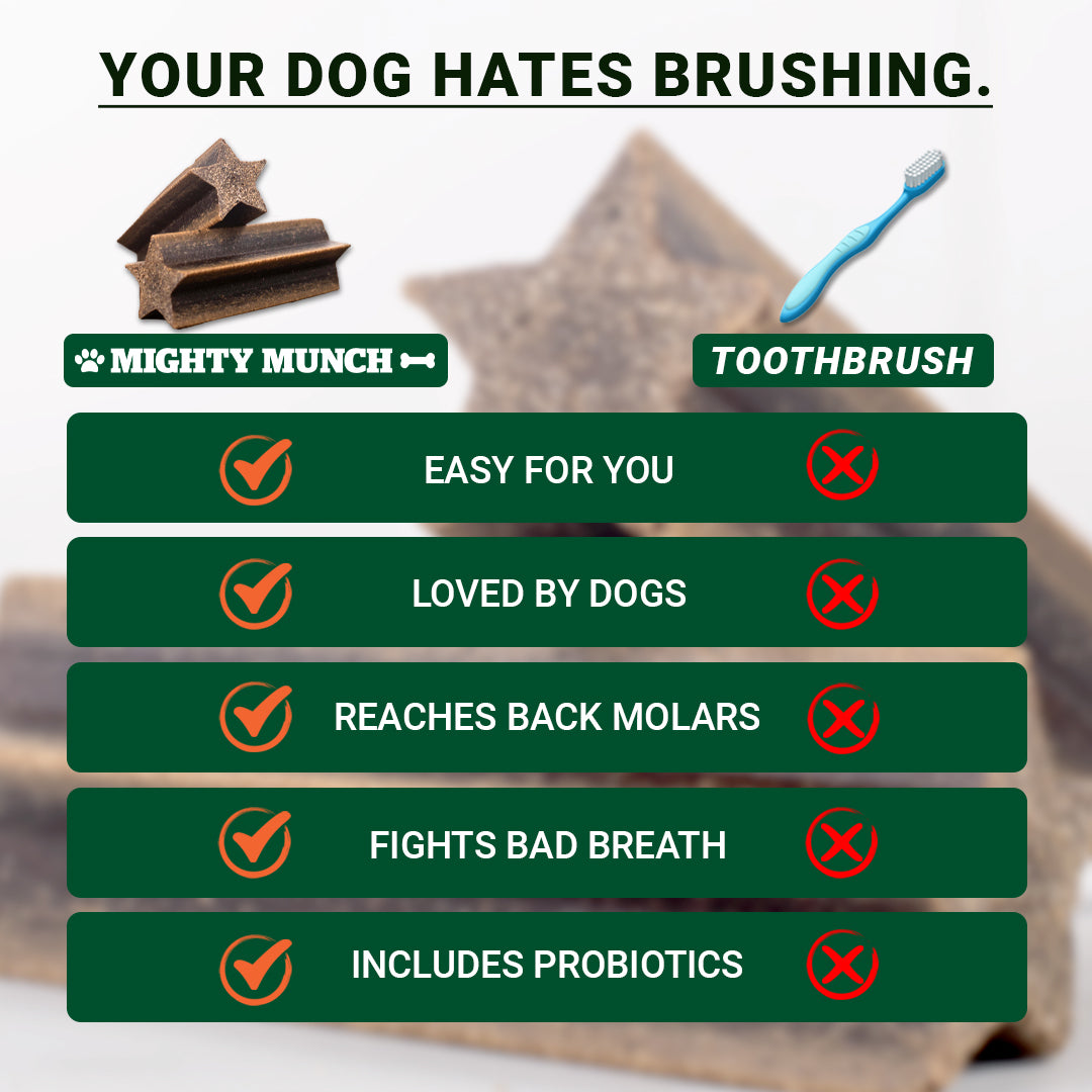 Dental Sticks (US)