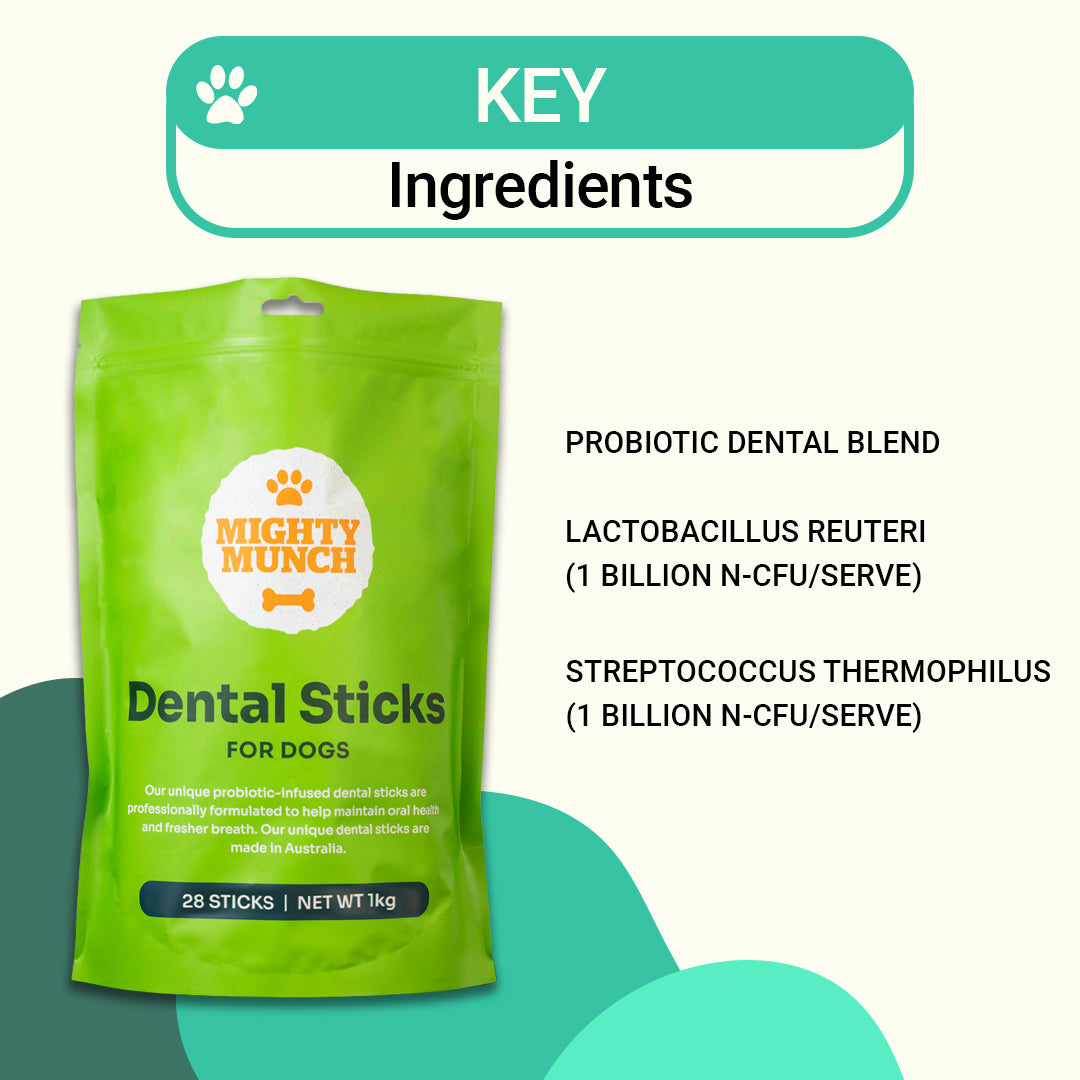 Dental Sticks