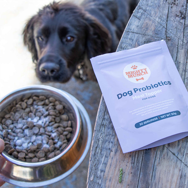 Dog Probiotics