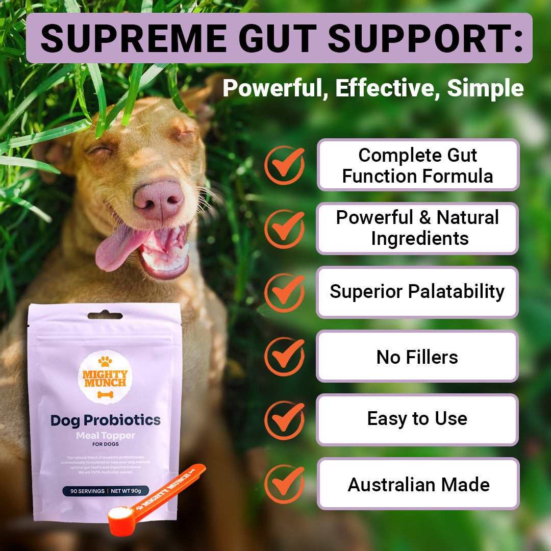 Dog Probiotics (NZ)