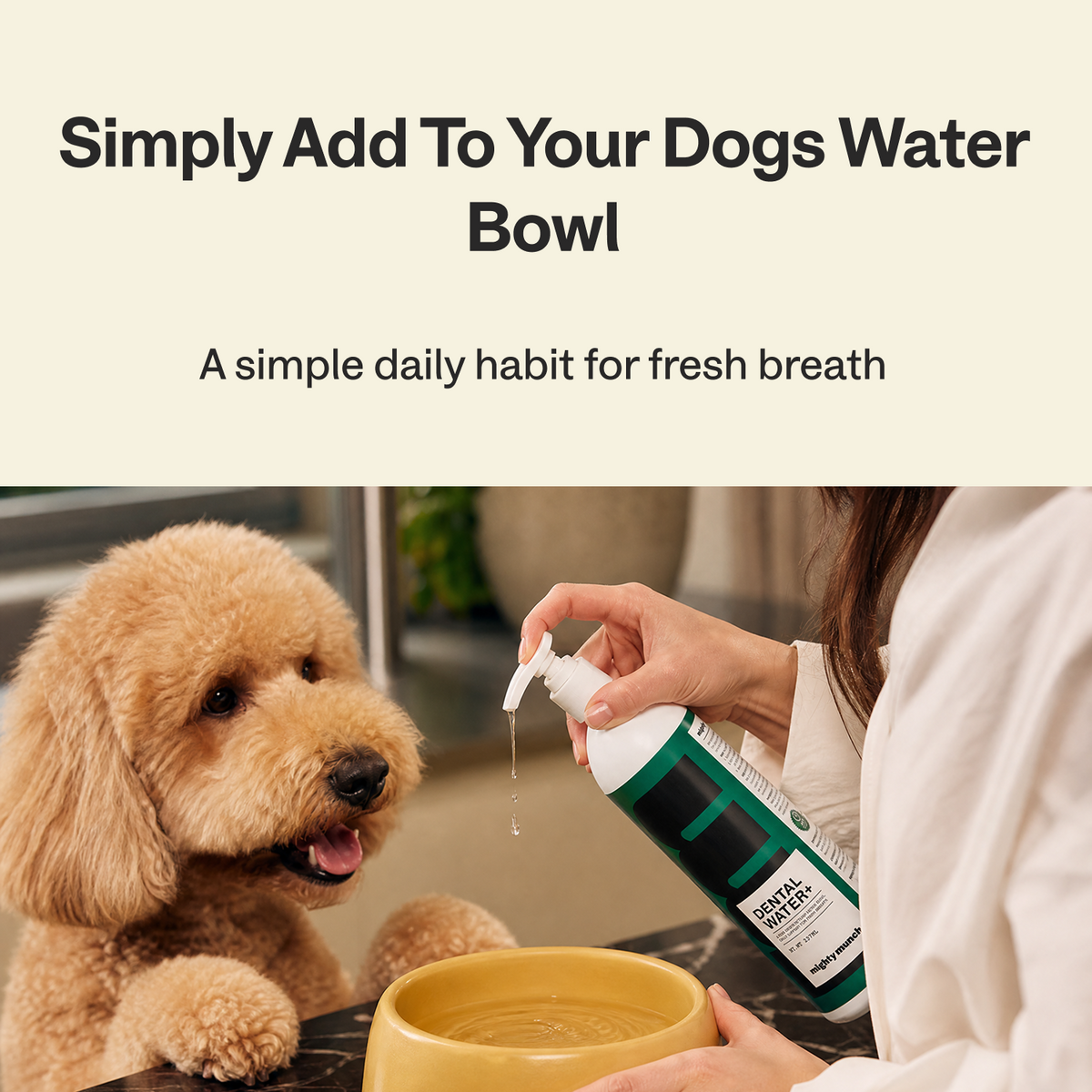 Dental Care