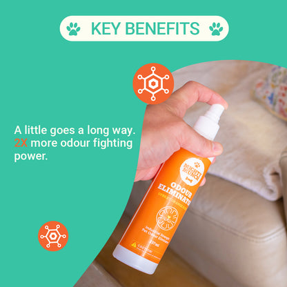 Pet Odour Eliminator | Pet Odour Remover