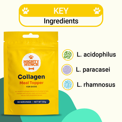 Collagen Meal Topper (Promo)