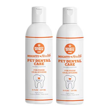 Dental Care (Promo)